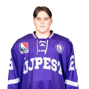 Vörös Zsigmond Henrik
