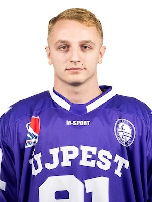 Ladnyik Zsombor