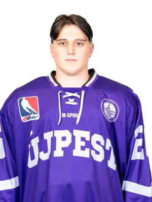 Vörös Zsigmond Henrik